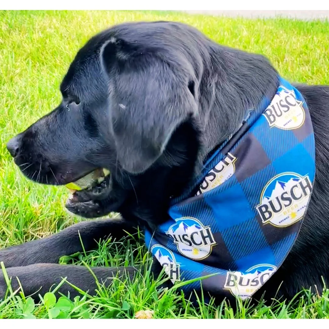 Busch Check Dog Bandana - Image 3